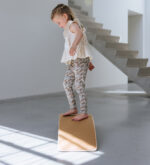 Spielen mit Balance Board von Jindl