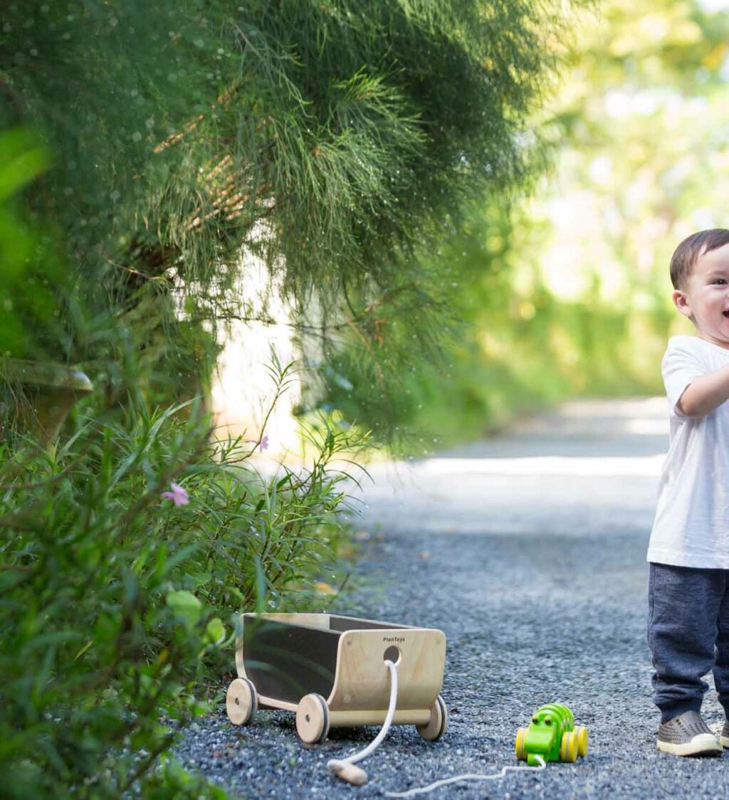 Hölzerner Ziehwagen von PlanToys Atmosphäre Hölzerner Ziehwagen von PlanToys Atmosphäre