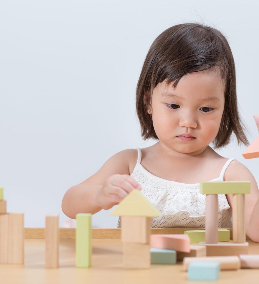 Plantoys Blockset-Atmosphäre Plantoys Blockset-Atmosphäre