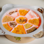 Schaal lichtbak 13 vakken