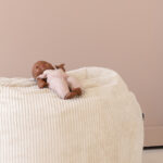 Zitzak bean bag met pop Jindl beige