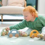 Rijden met speelauto's polarb