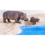 Betzold EduCasa - Afrikanische Tiere - 18-teilig - Afrikanischer Elefant - Afrikanisches Elefantenkalb