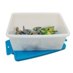 Betzold EduCasa - Deluxe Dinosaurier - 8-teilig - ganzes Set in Trommel mit blauem Deckel darunter