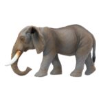 Betzold EduCasa - Tierset - 26-teilig - Elefant Seitenansicht